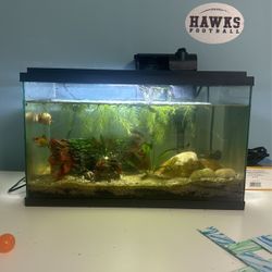 5 Gallon Fish Tank with Filter. NO FISH INCLUDED.