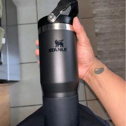 Stanley Water Bottle 