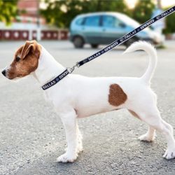 NFL Dog Leash - Blue Size Sm