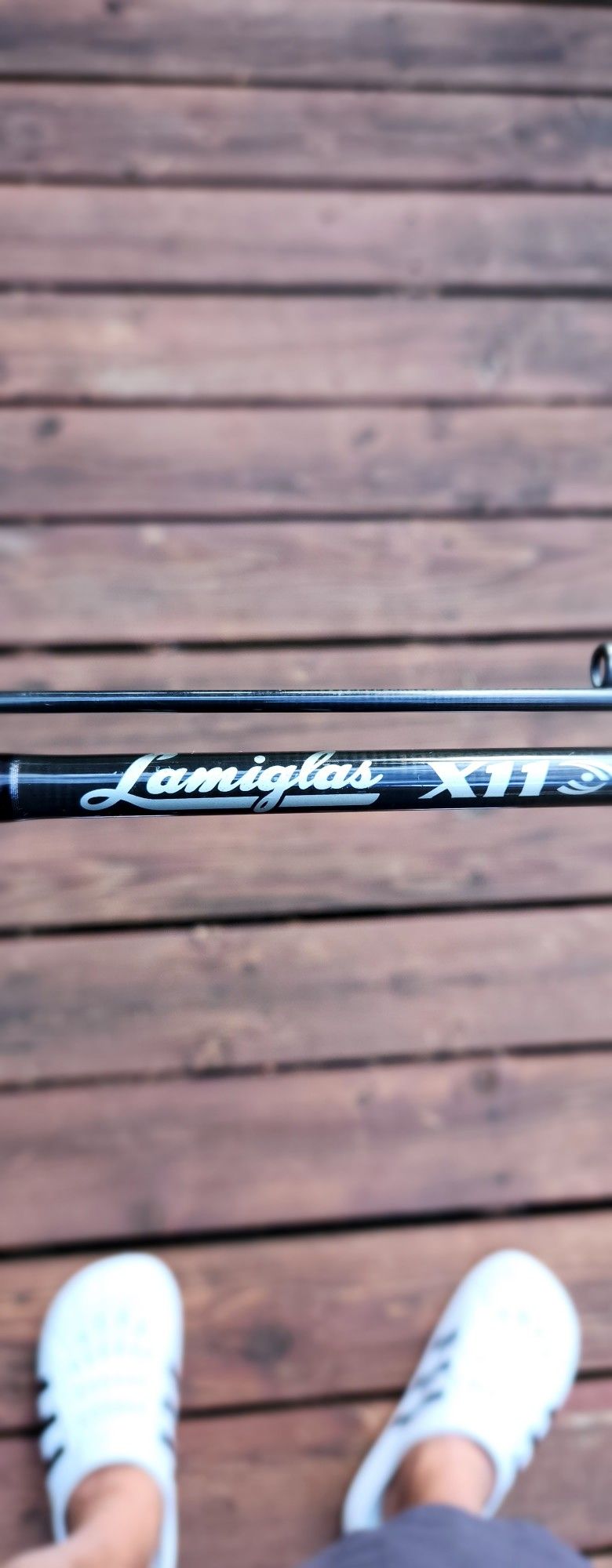 Lamiglas X11 8'6 M paired with Shimano Sahara C3000