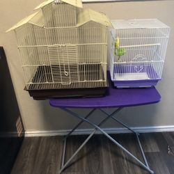 Bird Cages