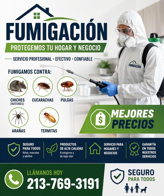 Matafumitodo Seguro Rapido