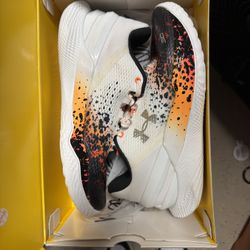 Curry 2 Flotro “Chef Curry”