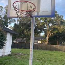 Basketball 