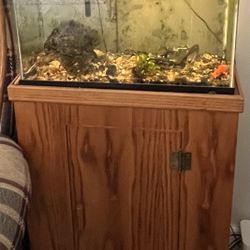 Fish Tank And All Things Including For It .