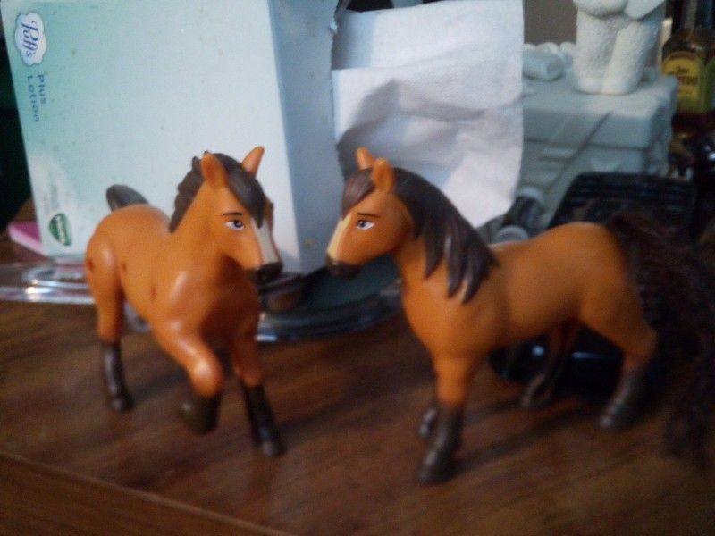 Spirit Horses