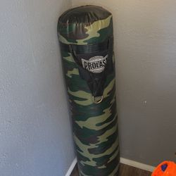punching bag