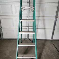 Werner   6 ft Ladder 