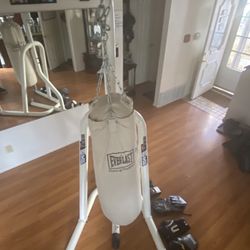 Free Standing Boxing Gym 
