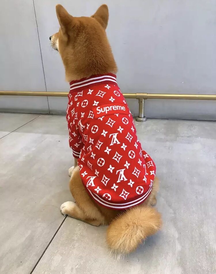 Louis Vuitton Dog coat  LV dog jacket, Supreme dog designer