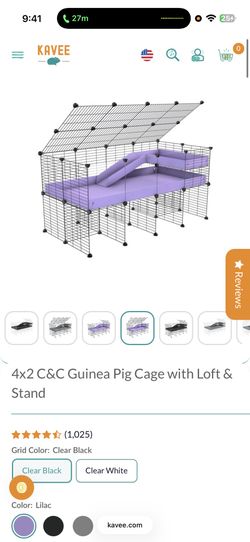 Guinea Pig Cage