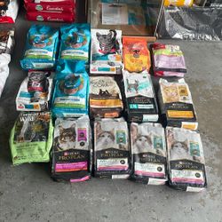 Cat Good