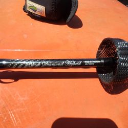 Avet reel and rod