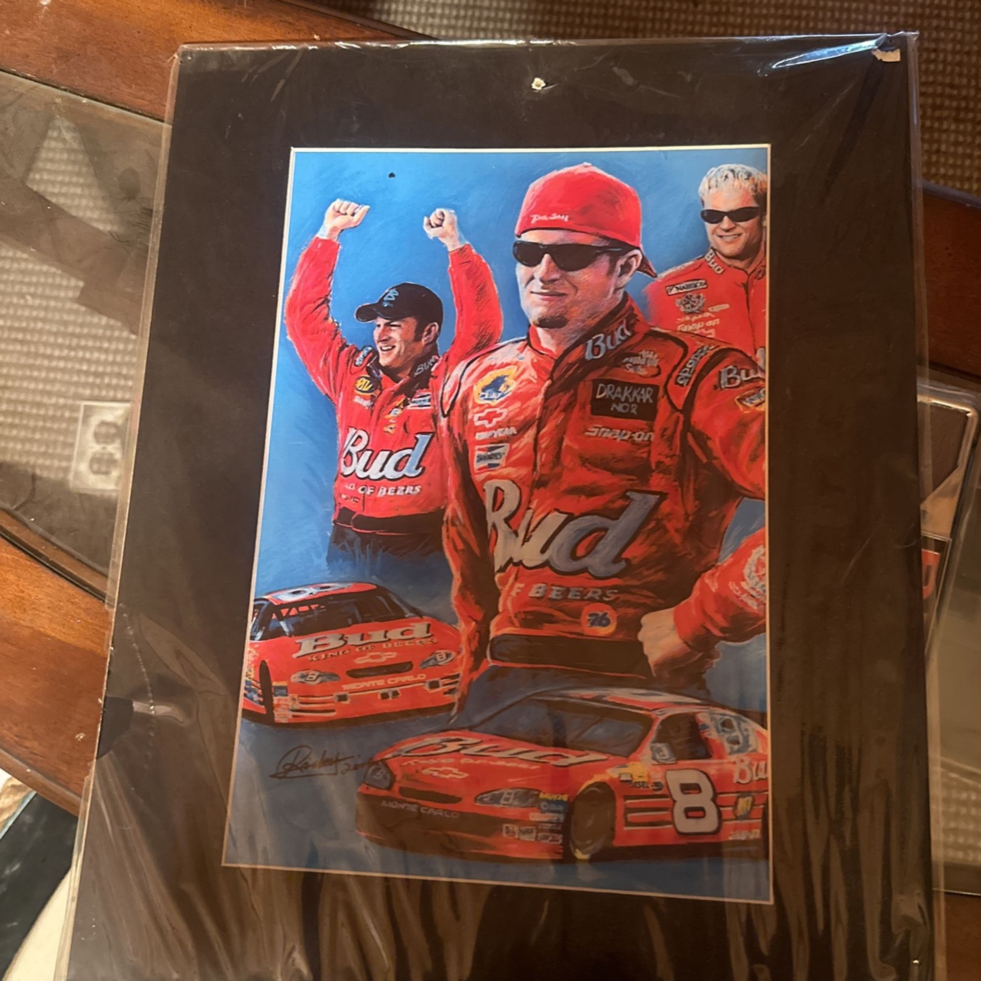 Dale Jr Picture
