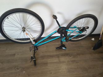 Mountain bike