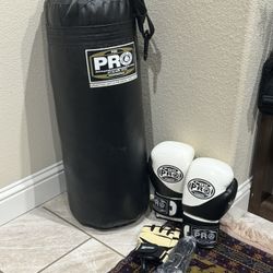 Pro boxing bag and it comes with everything