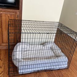 XXL Dog Kennel