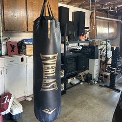 Everlast Punching Bag 