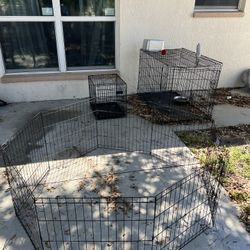 Kennel(s) 