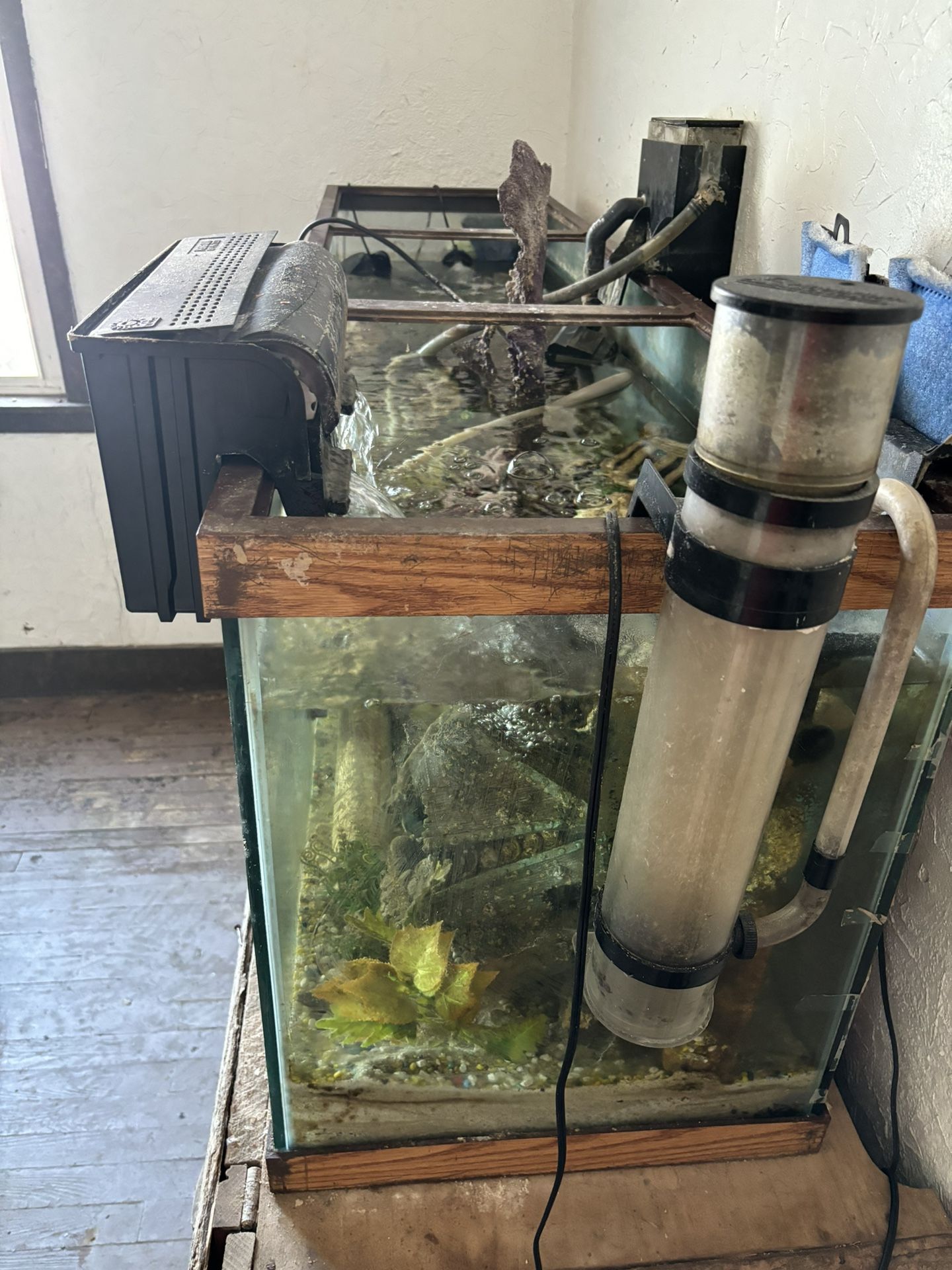 $500 Obo
