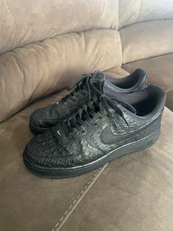 Air force deals 1 alligator