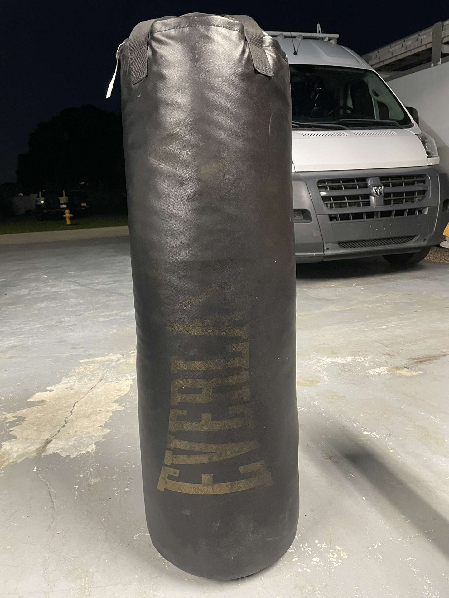 Everlast Punching Bag