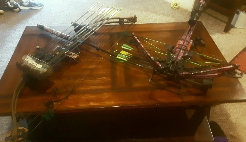 Cross Bow And Compound Bow