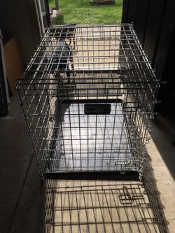 Dog cage with tray