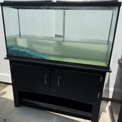 High Quality 60 Gallon Aquarium/Fish Tank With Stand