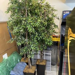 Silk Vicus Tree 6’