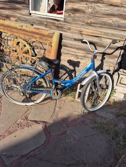 Beach cruiser