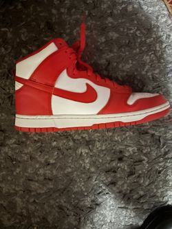 nike dunks (men’s 10)