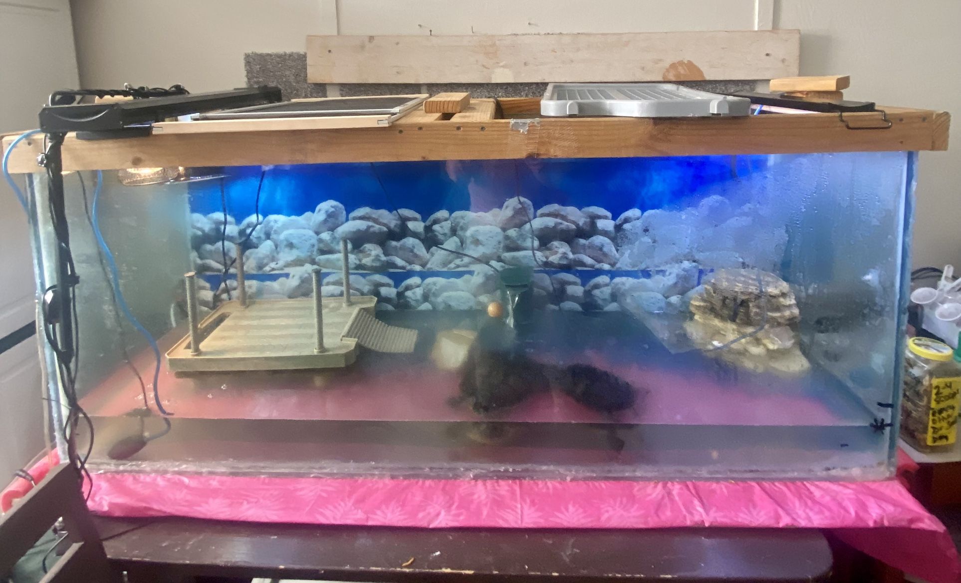 125 Gallon Glass Aquarium/fish Reptile Tank