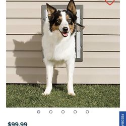 Doggie Door. Petsafe Brand Size Small