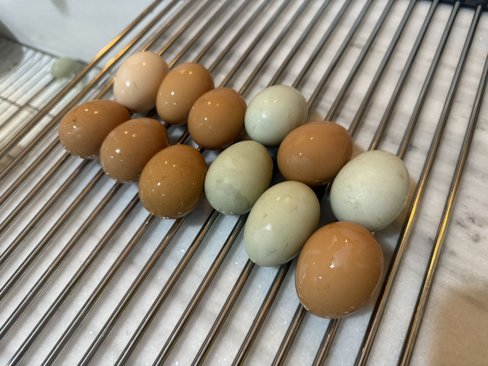 Fresh Farm Eggs