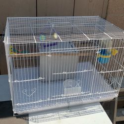 Birds Cage With Everything  Size 16 X16 X24 Inch 