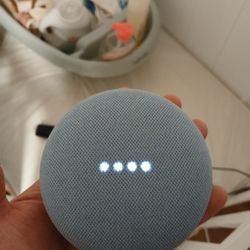 Google Nest Mini 