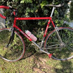 Serotta Size 56-58 