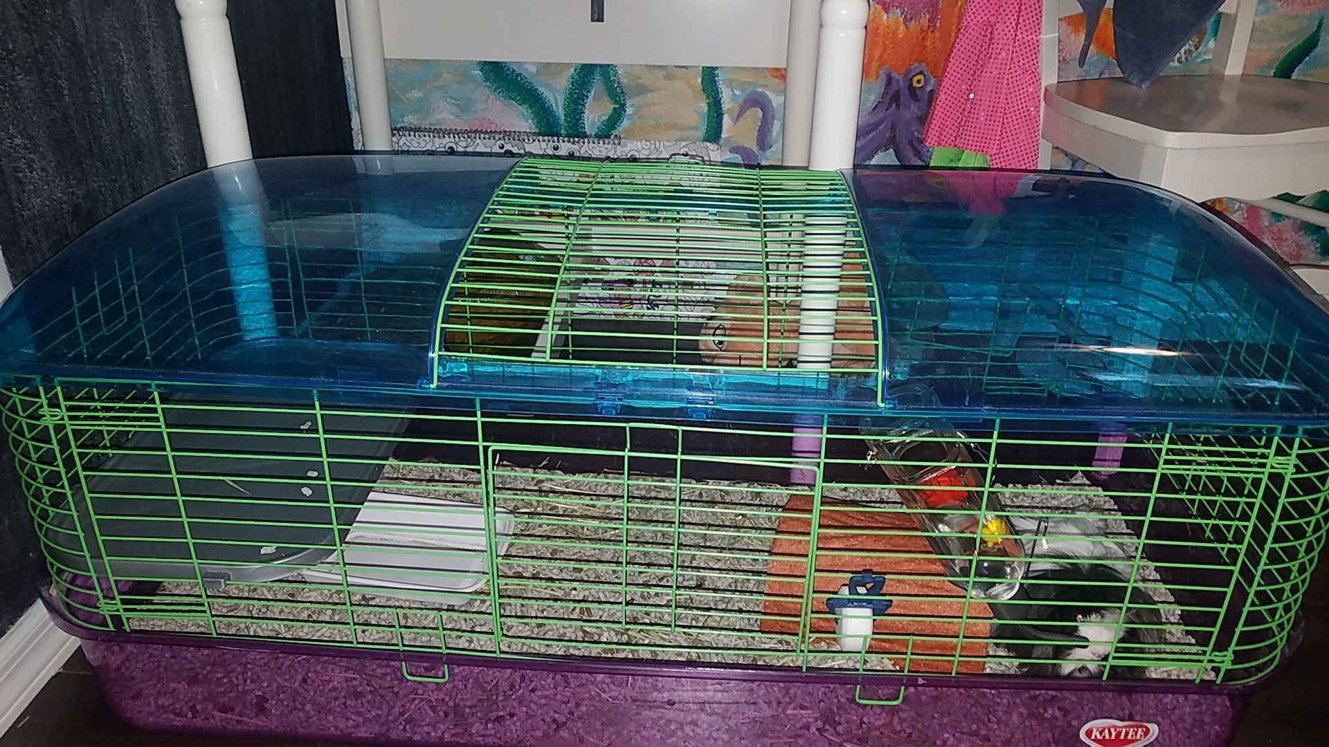 Kaytee two level extra large guinea pig cage for Sale in Brooksville