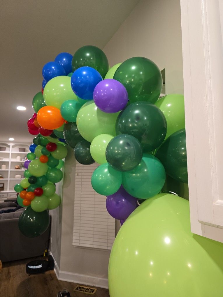 TMNT theme Ballon Arch