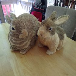 RABBIT. DECOYS. LOOK REAL.  LIFE SIZE STRAW GRASS  FUR. 