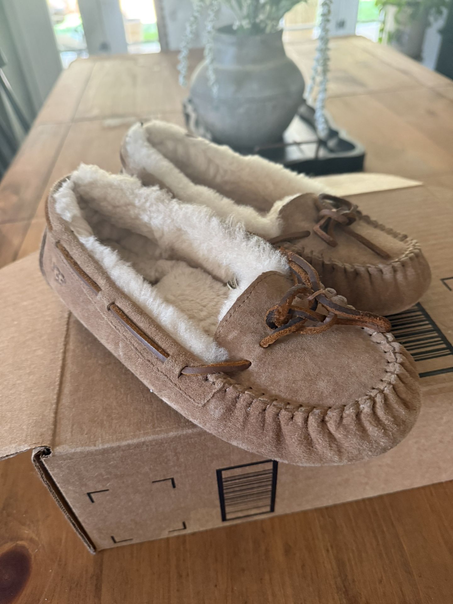 Ugg Slippers