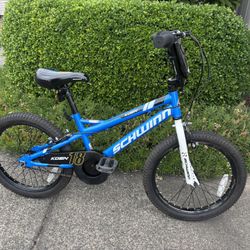 Youth 18” Schwinn Bicycle 