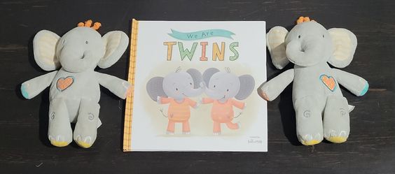 Twins Book With Stuffies