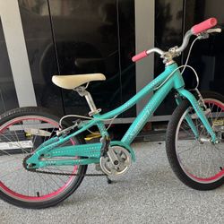 Guardian 20 inch bike like new 