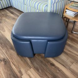 Ottoman On Rollers With Storage