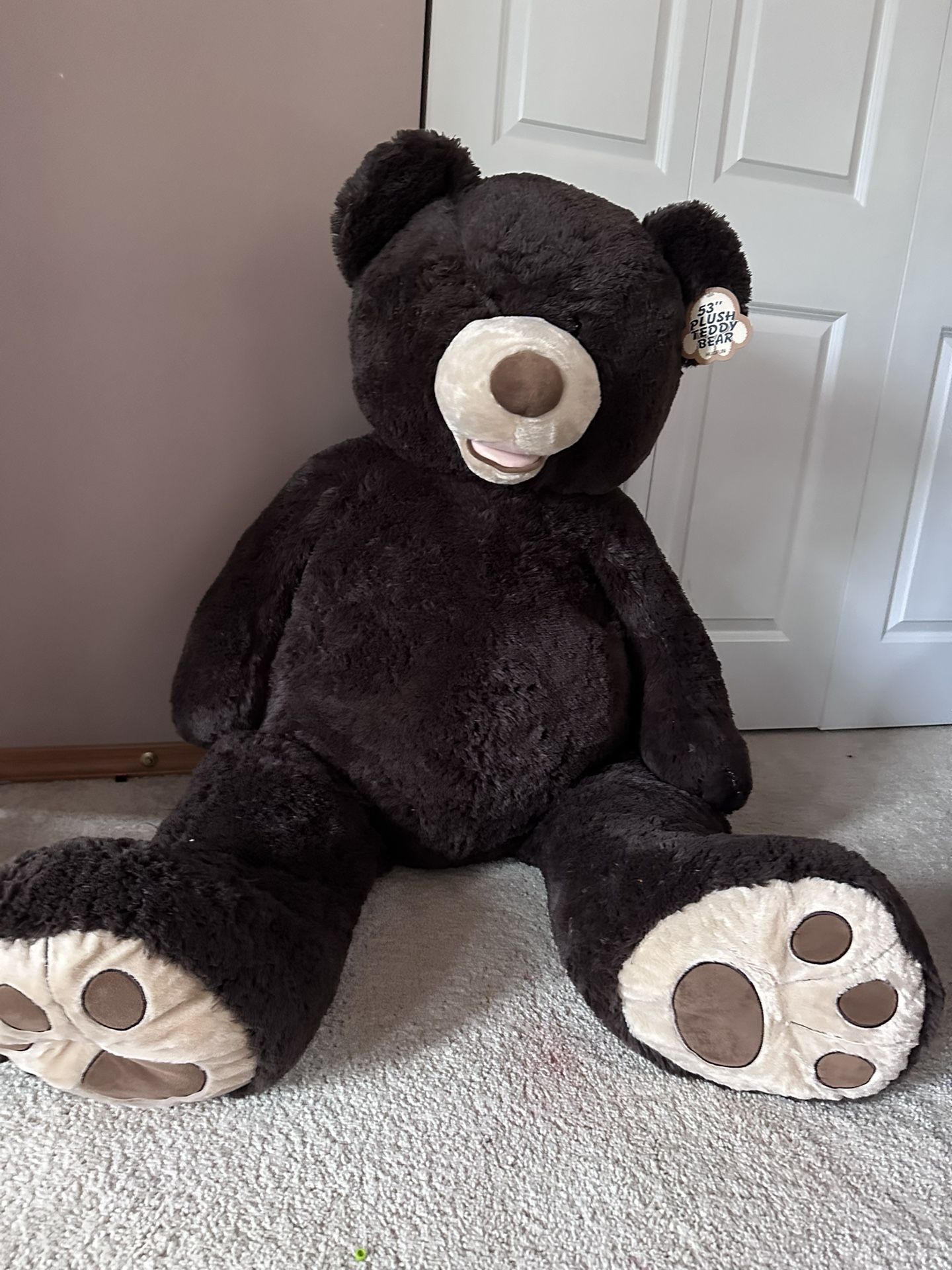 Plush Teddy Bear 
