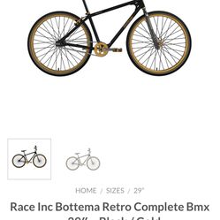 Race Inc Bmx Bicycle 29” 