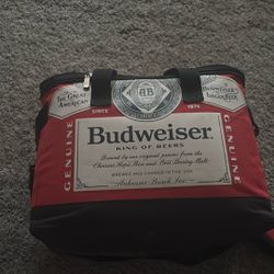 Cooler bag
