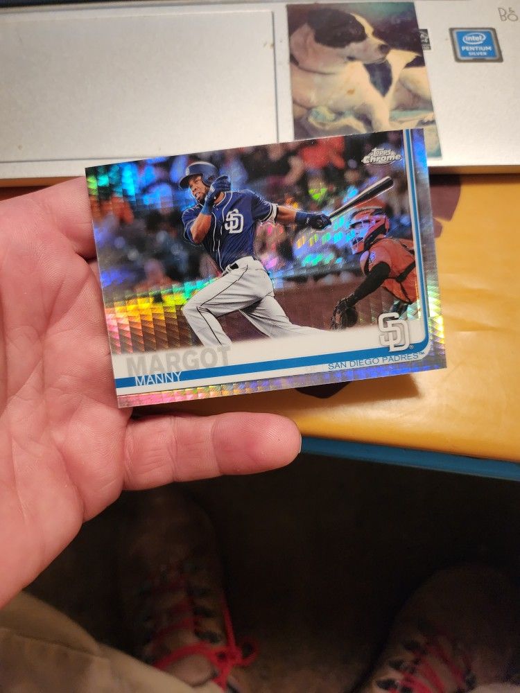Manny Margot Baseball Card